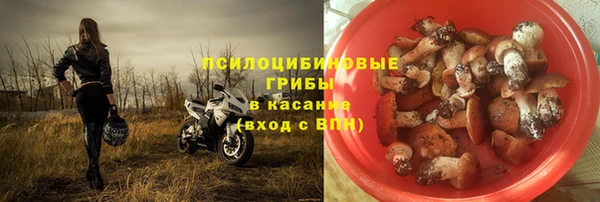 прущая мука Алзамай